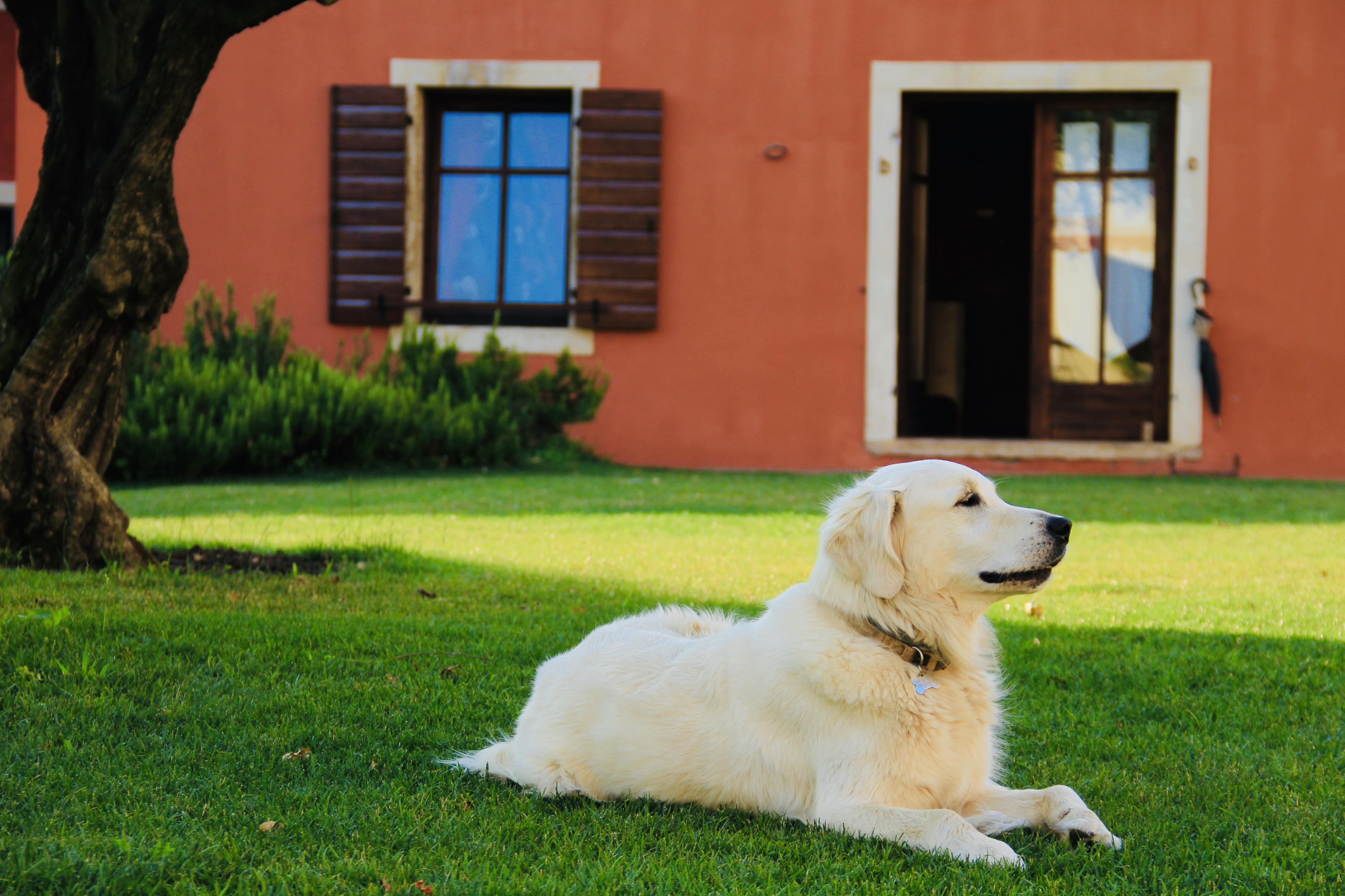 Musella Winery & Relais Guest House San Martino Buon Albergo Luaran gambar